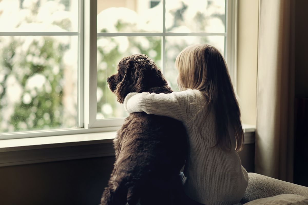 Enfant et chien devant fenêtre
